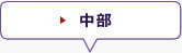 中部