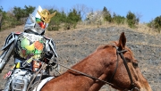 劇場版 仮面ライダー鎧武 サッカー大決戦!黄金の果実争奪杯!