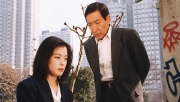 はぐれ刑事純情派(第10シリーズ)