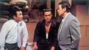 昭和極道史
