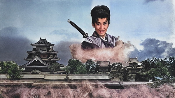 少年猿飛佐助 牢獄の姫君