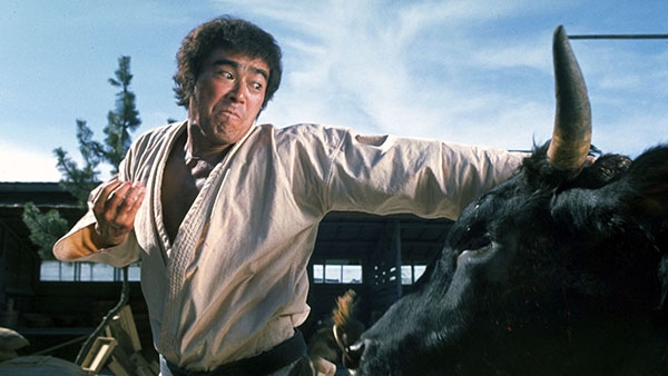 東映チャンネル けんか空手 極真拳 21年11月放送 東映チャンネル けんか空手 極真拳 21年11月放送