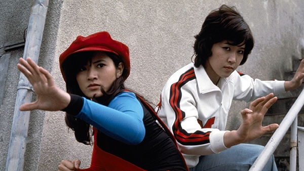 華麗なる追跡(1975)