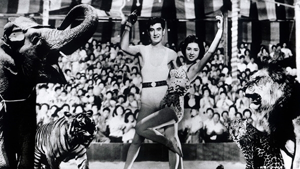 空中サーカス 嵐を呼ぶ猛獣